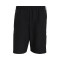 Shorts adidas Squadra 21 DT