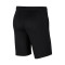 Shorts Nike Enfant Park 20