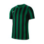 Striped Division IV m/c-Pine Green-Black-White