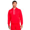 Sweat-shirt Nike con capucha Park 20 Fleece