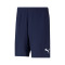 Short Puma teamRISE