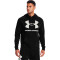Sweat-shirt Under Armour UA Rival Fleece Big Logo Hoodie