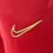 Pantalon Nike Academy 21 Knit