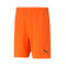 Short Puma teamRISE