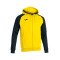 Veste Joma à capuche Academy IV