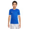 Maillot Nike Enfant Dri-Fit Challenge IV m/c