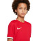 Maillot Nike Enfant Dri-Fit Challenge IV m/c