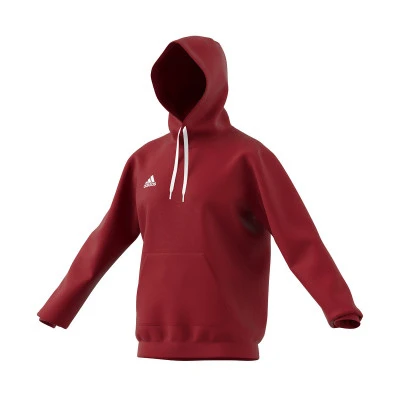 Sweat-shirt Entrada 22 Hoody Enfant
