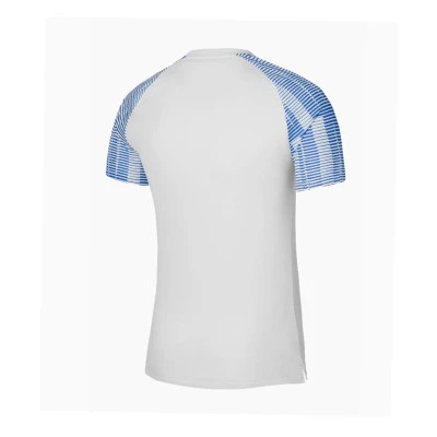 Maillot Dri-Fit Academy m/c