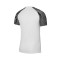 Maillot Nike Dri-Fit Academy m/c