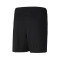 Shorts Puma Enfants teamRISE Training