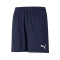 Shorts Puma Enfant teamRISE Training