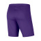 Short Nike Park III Knit
