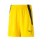 Short Puma Enfant teamLIGA 