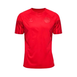Camiseta Dinamarca Primera Equipación Mundial Qatar 2022 Red