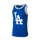 Top 47 Brand MLB Los Angeles Dodgers Grafton