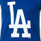 Top 47 Brand MLB Los Angeles Dodgers Grafton