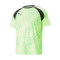 T-Shirt Puma TeamLIGA Graphic