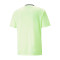 T-Shirt Puma TeamLIGA Graphic