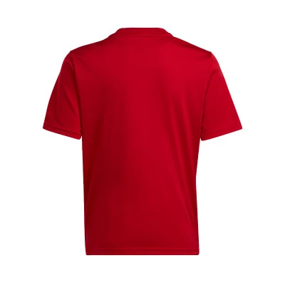Maillot Enfant Team Icon 23