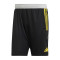 Shorts adidas Tiro 23 Competition Training