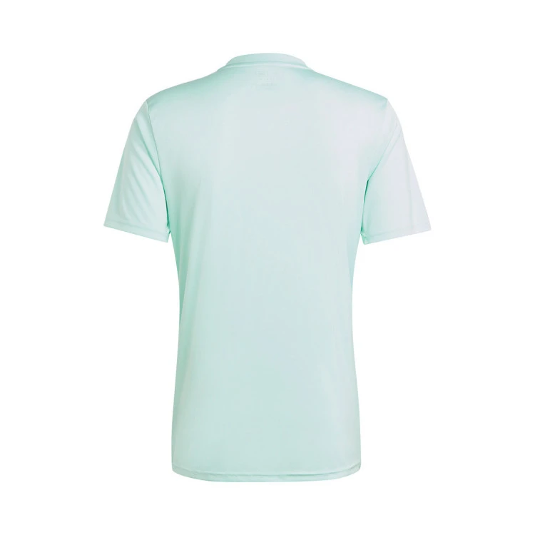 camiseta-adidas-team-icon-23-clear-mint-1
