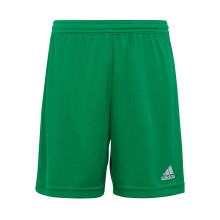 Short Entrada 22 Team Green