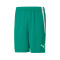 Short Puma teamLIGA
