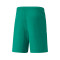 Short Puma teamLIGA