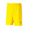 Short Puma teamRISE
