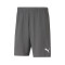 Short Puma teamRISE