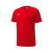 T-Shirt Puma teamGOAL Cotton