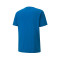 T-Shirt Puma teamGOAL Cotton