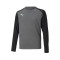 Maillot Puma Enfants teamPACER m/l Gardien de but