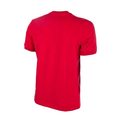 T-Shirt Denmark 1970s Retro Football