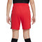 Short Nike Dri-Fit Academy 23 Enfant