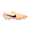 Chaussure de football Nike Legend 10 Elite WC FG