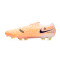 Chaussure de football Nike Legend 10 Elite WC FG