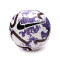 Ballon Nike Collection Premier League 2023-2024
