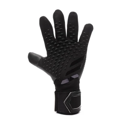 Gants Predator Competition