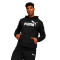Sweat-shirt Puma Essentials Big Logo