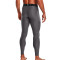 Legging Under Armour HeatGear Carbon