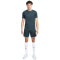 Short Nike Dri-Fit Academy