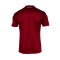 T-Shirt Joma Torino Maillot Domicile 2023-2024