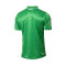 T-Shirt Hummel Real Betis Maillot Extérieur 2023-2024