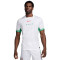 Maillot Nike Nigéria Maillot Domicile