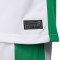 Maillot Nike Nigéria Maillot Domicile
