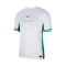 Maillot Nike Nigéria Maillot Domicile