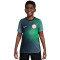 Maillot Nike Enfant Nigéria Pre-Match