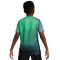 Maillot Nike Enfant Nigéria Pre-Match